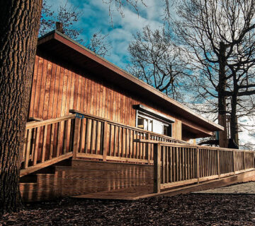 Go Ape, Chelmsford